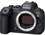 Canon EOS R6 Mark II body