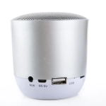 Głośnik Bluetooth Hopestar H9 srebrny