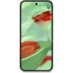 Google Pixel 9 5G 12/128 GB Wintergreen