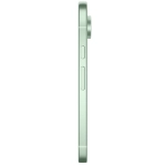 Google Pixel 9 5G 12/256 GB Wintergreen