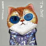 Nimmy etui iPhone 15 Pro Max 6.7" szary/gray Glasses Cool Cat