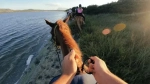 gopro-opaska-na-glowe-strappy-9.webp
