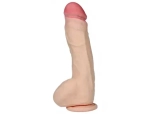 68582049042d2cc5002bc8facfea62b7
