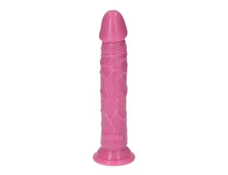 ER-54221-prosty-rozowy-zylasty-penis-z-przyssawka-16.5-cm-1.webp