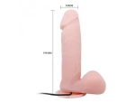 ER-48495-wibrujacy-penis-realistyczny-przyssawka-jadra-19-cm-4.webp