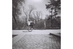 Film Lomoraphy Lady Grey 400/120 3Pak