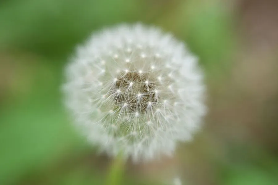 Nikon Nikkor Z 70-180 mm f/2.8