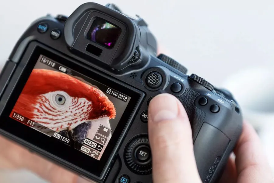 Canon EOS R6