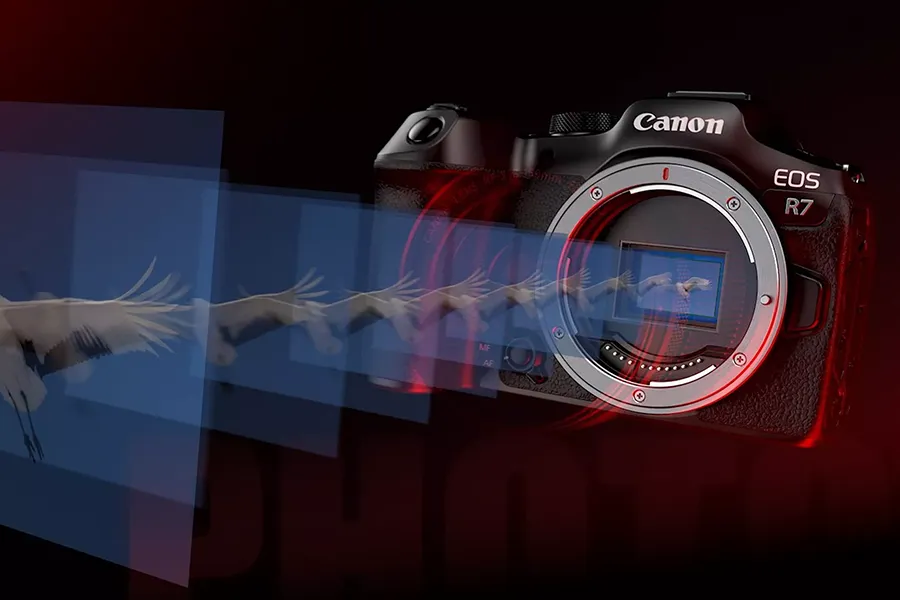 Canon EOS R7 + RF-S 18-150 mm f/3.5-6.3 IS STM + adapter EF-EOS R