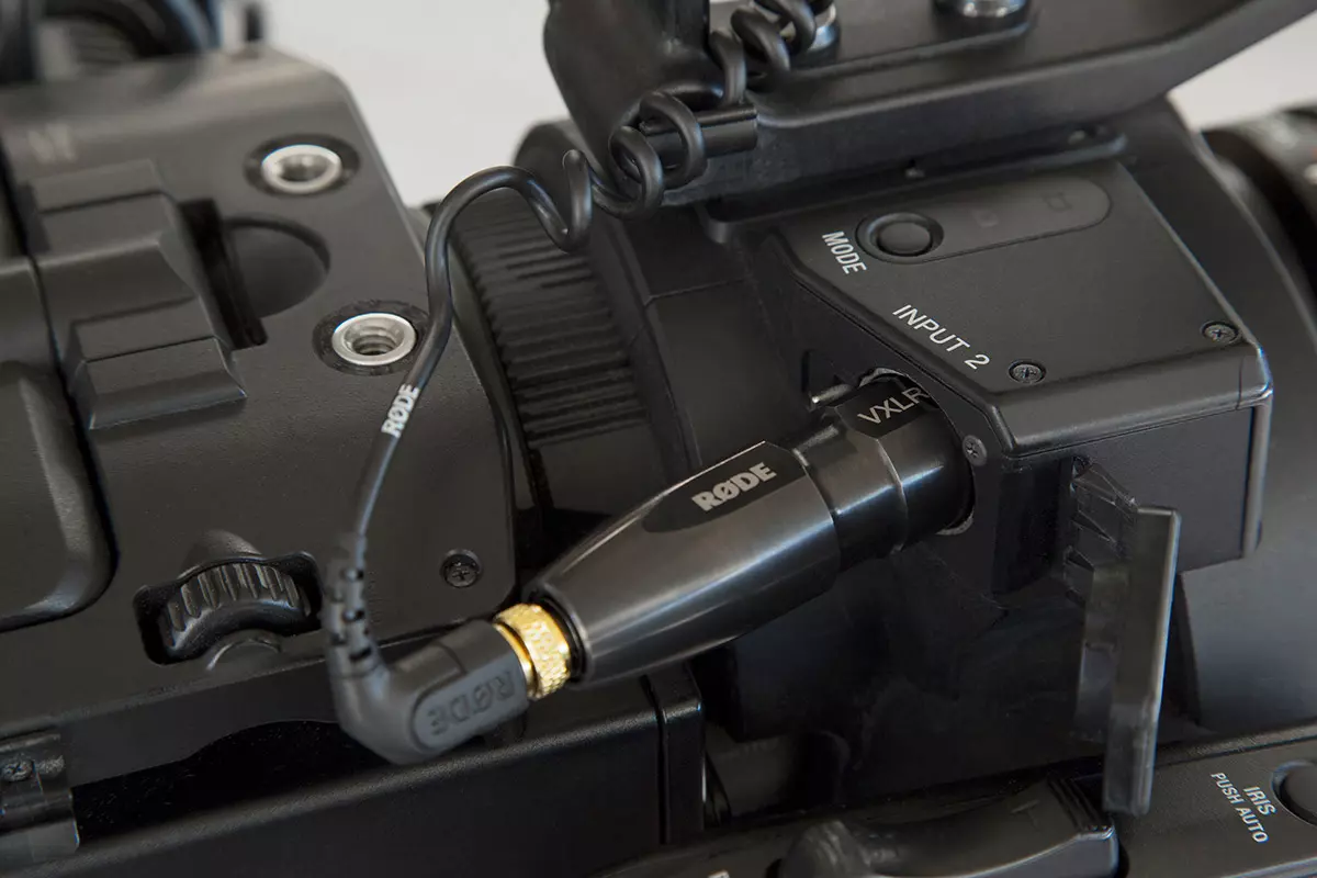 rzejściówka miniJack/XLR Rode VXLR+