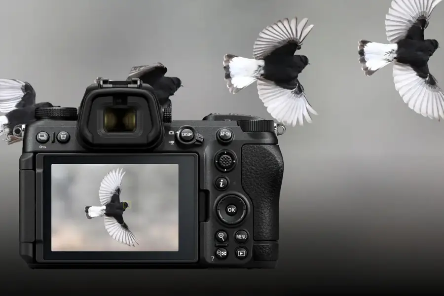 Nikon Z6III + Nikkor Z 24-70 mm f/4 S
