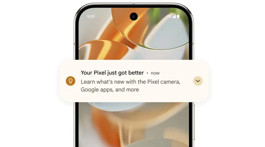Google Pixel 9 Pro 5G 16/256 GB Hazel